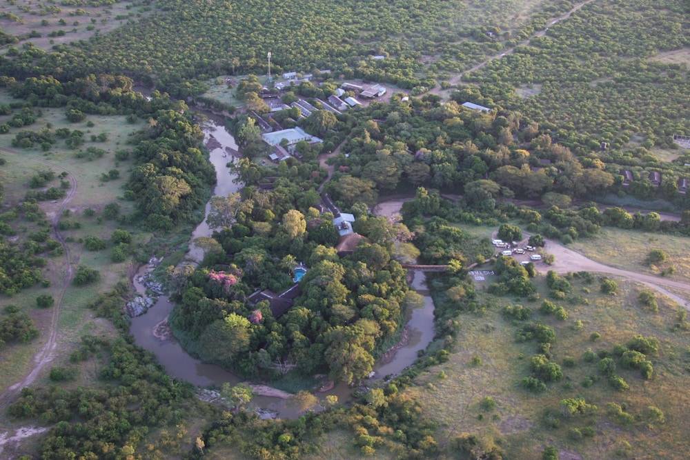 Fig Tree Camp 1