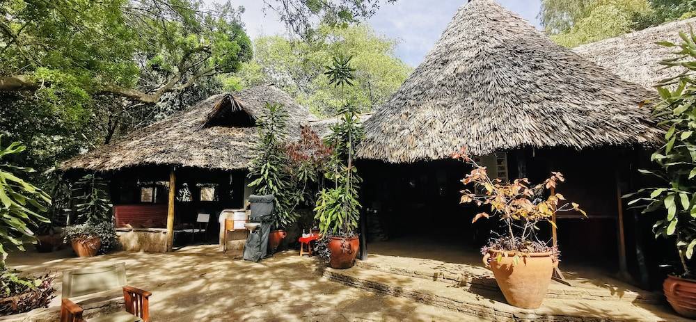 Fig Tree Camp 2