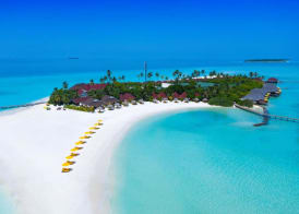 Dhigufaru Island Resort 3