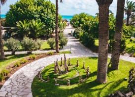The Orangers Beach Resort and Bungalows All Inclusive 3