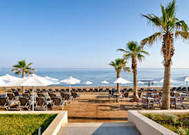 White Olive Elite Rethymno 4