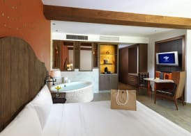 Hard Rock Hotel Riviera Maya Hacienda All-Inclusive 3