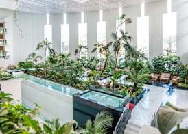 Spring Hotel Vulcano 5