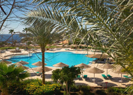 Domina Coral Bay Resort, Diving , Spa & Casino 3