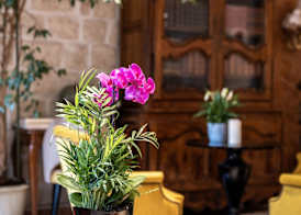 Hotel Minerve 5