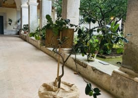 Relais il Chiostro Historic Courtyard & Panoramic Terrace near Sorrento 2