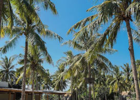 Hotel Lumi Gili Trawangan 2