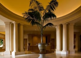 The Resort at Pelican Hill 2