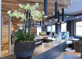 Dolomeet Boutique Hotel 4