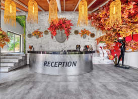Illusion Beach Club Hotel +16 Only Adult 4