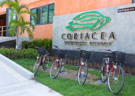 Coriacea Beachfront Boutique Phuket Resort 2