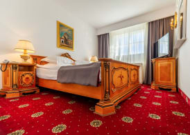 Hotel Imparatul Romanilor Hotel & SPA 5