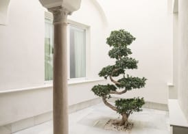 Mylu Suites by Puerta Catedral 2