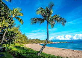 The Ritz-Carlton Maui, Kapalua 5