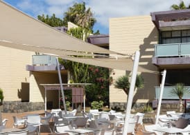 Hotel Palia Don Pedro 2
