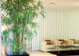 Lux Fatima Park - Hotel, Suites & Residence 3