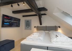 Modern Luxury Penthouse 3