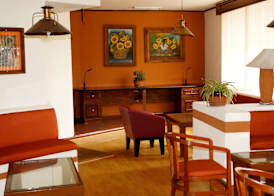 Hotel & Suites Villa del Sol 3