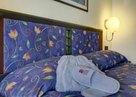 Hotel San Pietro 5
