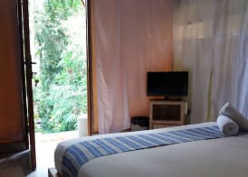 Ubud Tropical 4