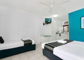 Cairns City Palms 3
