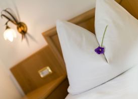 Hotel Bergkristall 3