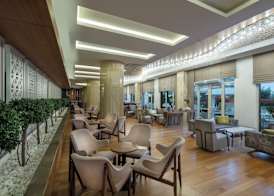 Trendy Verbena Beach 5