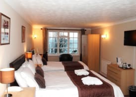 Luccombe Manor Country House Hotel 3