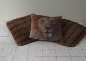 Lioness B&B 4