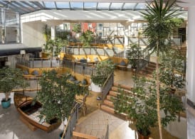 Sunday Resort Marina Wolfsbruch - Familienapartments 4