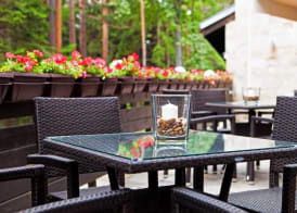 Lion Hotel Borovets 4