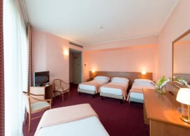 Airport Hotel Bergamo 4