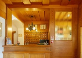 Hotel Stella Alpina 5
