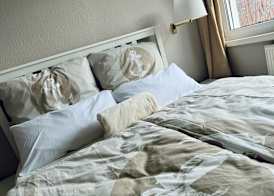 Pension Ostsee-Strand 3