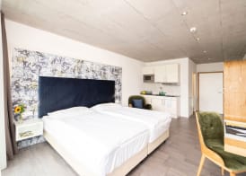Tailormade Hotel IDEA Spreitenbach 4
