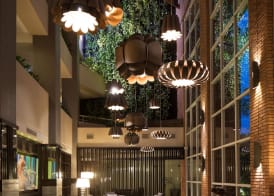 Hotel Camino Real 2