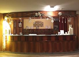 Hotel Relais Des Alpes 3