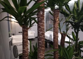 Hotel Daunia 2