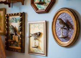 The Bird, Bath 4
