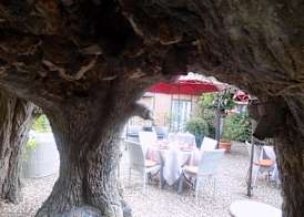 Logis Hôtel La Brèche - Restaurant Berthelot 4