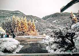 Hotel Regina Delle Dolomiti 4