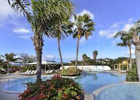 Chogogo Dive & Beach Resort Curaçao 5