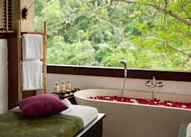 Beji Ubud Resort 2