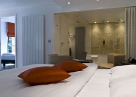 Cocoon Hotel La Rive 2