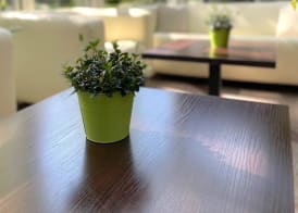 SensCity Hotel Berlin Spandau 3