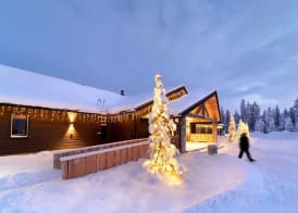 Northern Lights Village Levi 3