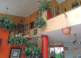 Canal Inn Panama 2