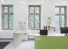 Flow Spaces 3