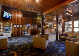 O'Reilly's Rainforest Retreat 2