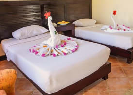 Abu Dabbab Lodge 5